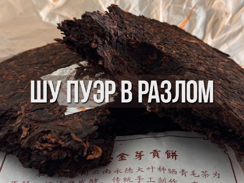 Фото из публикации HAO CHA от 28 октября 2024