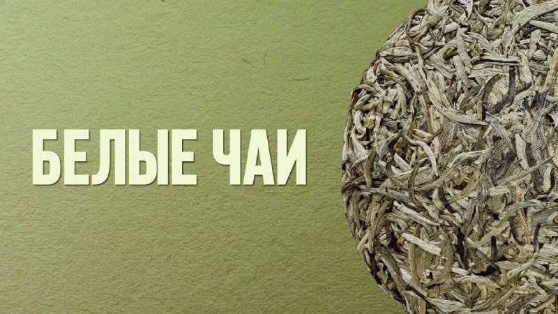 Фото к публикации от 1 ноября 2024