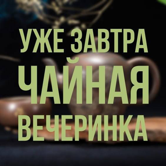 Фото к публикации от 23 декабря 2023