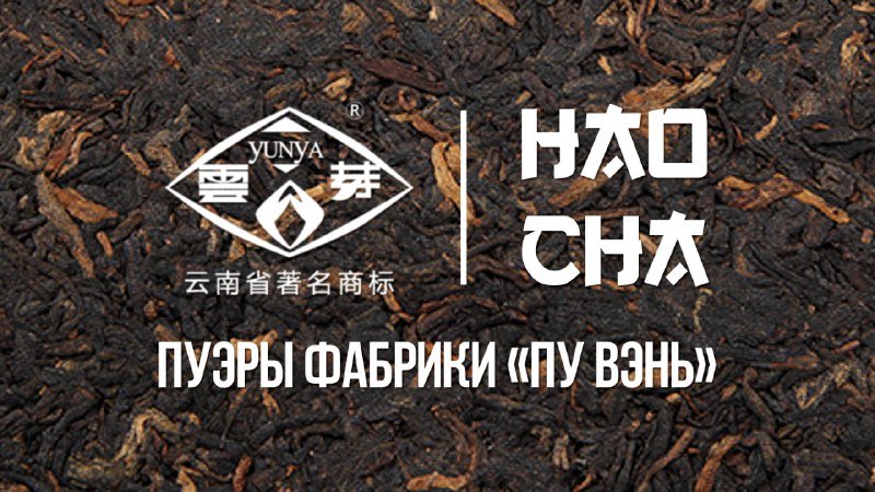 Фото из публикации HAO CHA от 8 февраля 2024