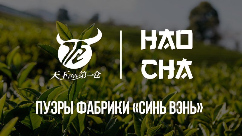 Знакомство с фабрикой «Синь Вэнь»