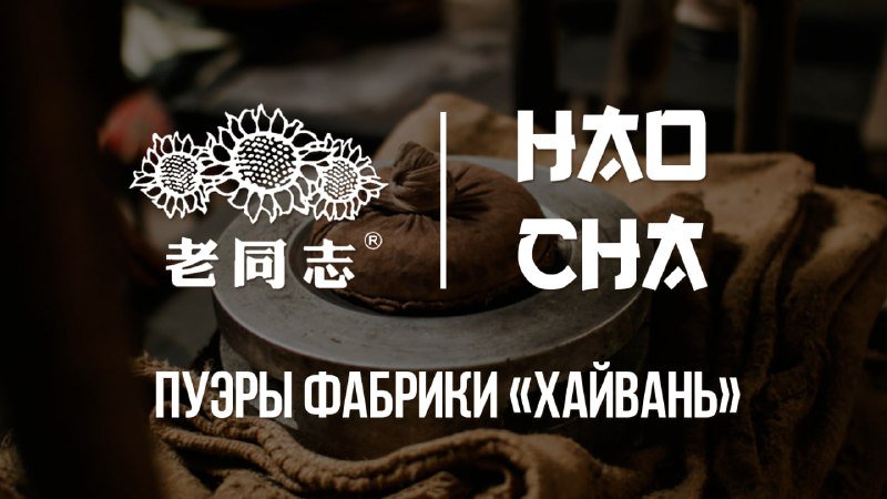 Фото из публикации HAO CHA от 22 февраля 2024